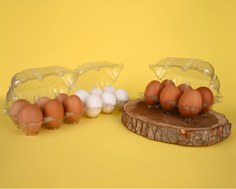 egg-tray